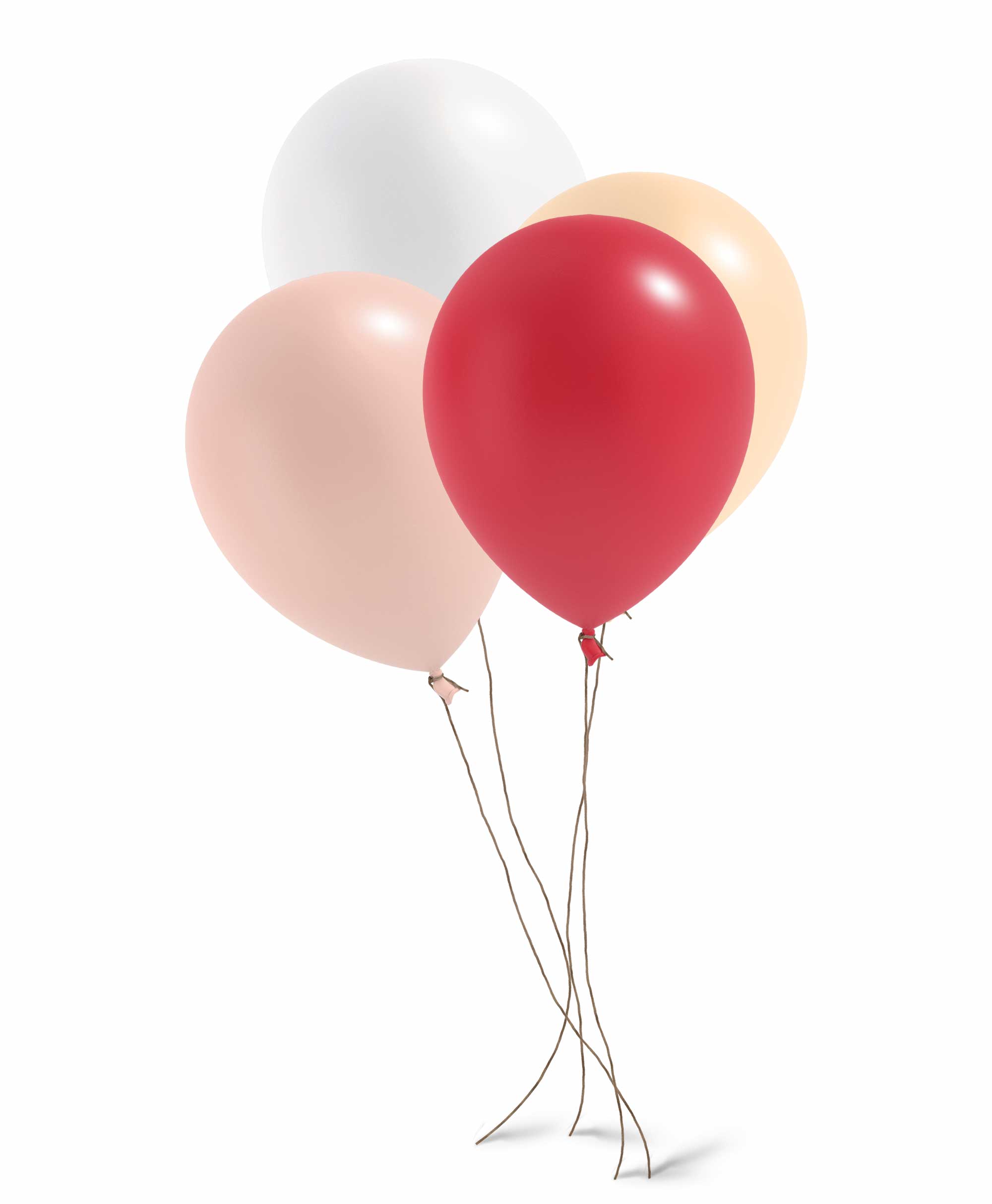 Balloon & Garland kit Bundle - Raspberry theme