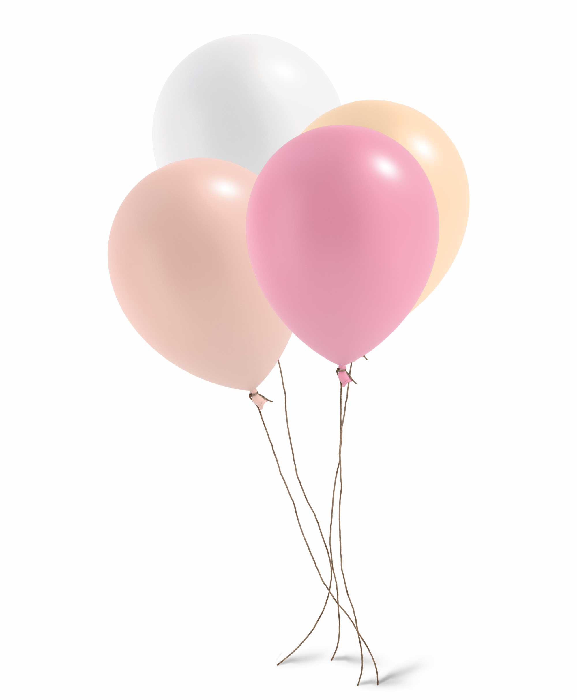 Balloon & Garland kit Bundle - Blush Theme